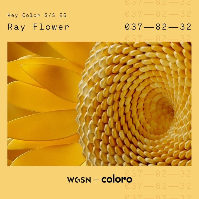 關(guān)鍵色coloro 037-82-32